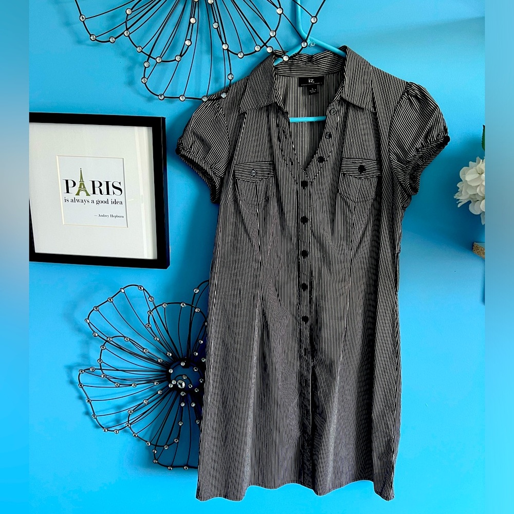 IZ ever California- black and white striped dress with collar. Size L